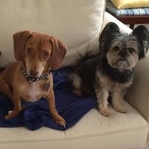 Meet your Posher, Patti